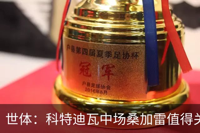 世体：科特迪瓦中场桑加雷值得关注，球队想击败挪威他会是关键